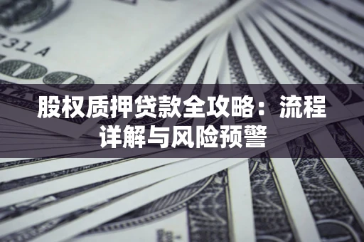 北京股权质押贷款全攻略：流程详解与风险预警