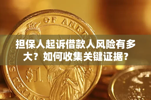 北京担保人起诉借款人风险有多大？如何收集关键证据？