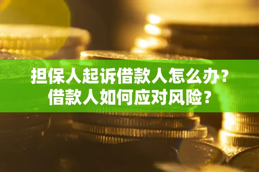 北京担保人起诉借款人怎么办？借款人如何应对风险？