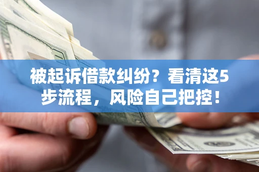 北京被起诉借款纠纷？看清这5步流程，风险自己把控！